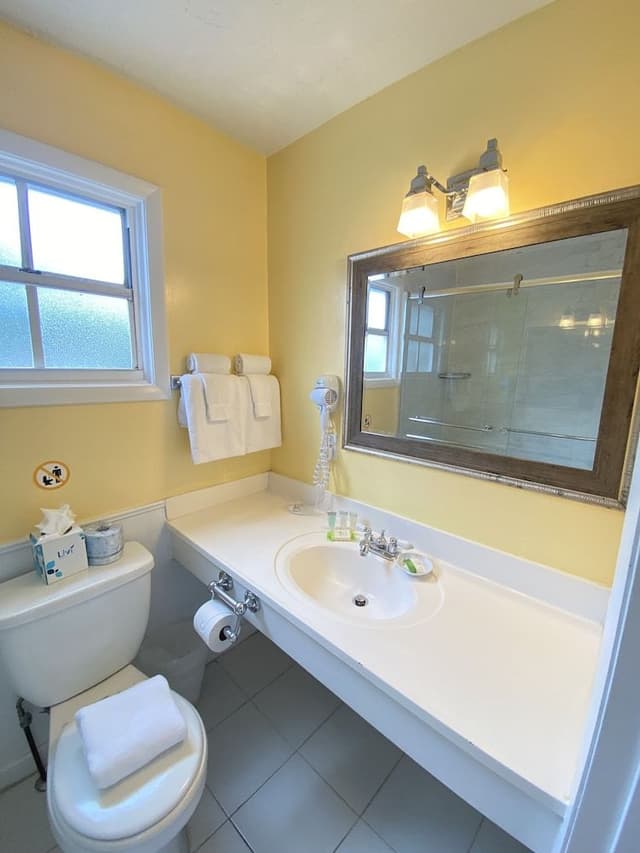 Standard Room, 1 King Bed, Non Smoking, Private Bathroom