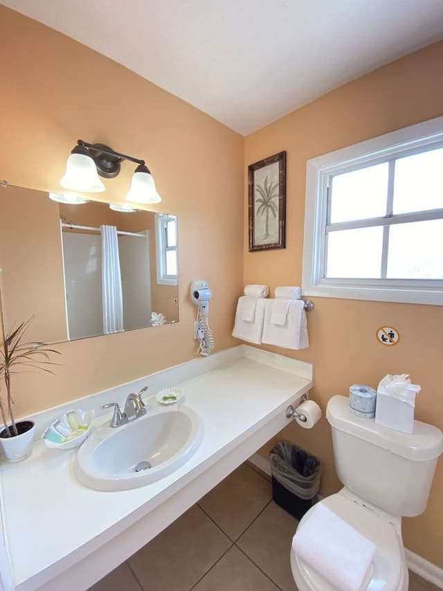 Standard Room, 1 King Bed, Non Smoking, Private Bathroom