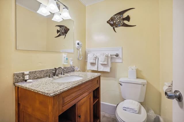 Standard Room, 1 King Bed, Non Smoking, Private Bathroom