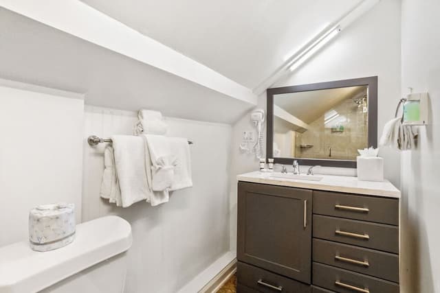 Bi-Level Suite (Not Pet Friendly)