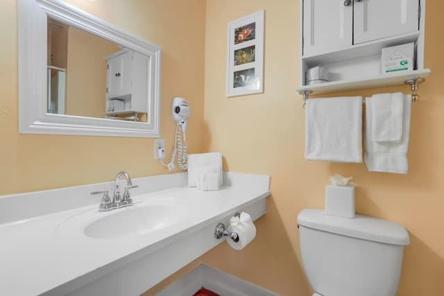 Standard Room, 1 King Bed, Non Smoking, Private Bathroom