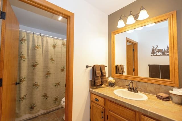 Suite, 1 King Bed (1 Bedroom Kitchenette )