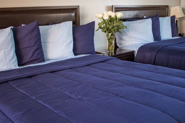 Room (2 Queen Beds and 1 Sofa Bed)