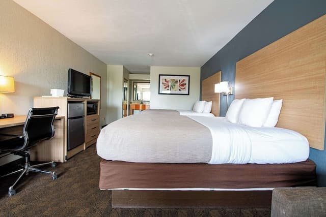 Room, 1 King Bed, Accessible, Non Smoking