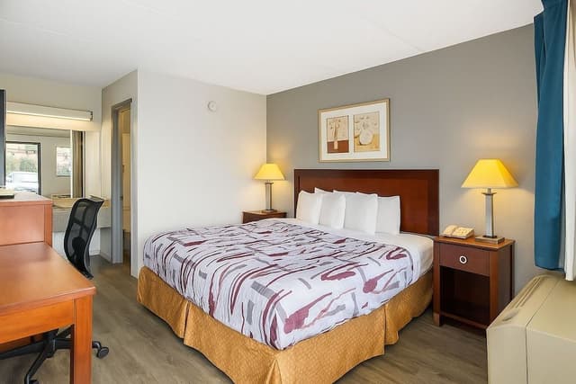 Standard Room, 1 King Bed