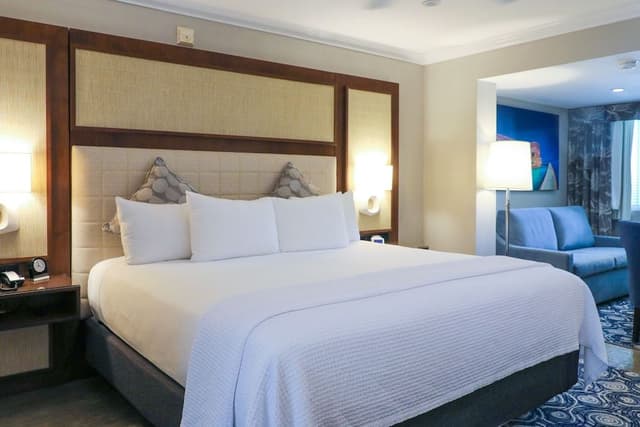 Suite, 1 King Bed with Sofa bed