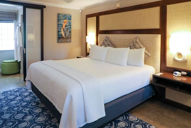 Suite, 1 King Bed with Sofa bed