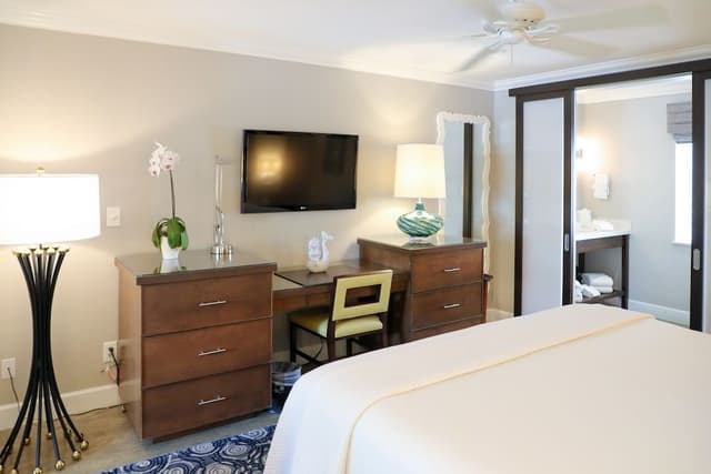 Suite, 1 King Bed with Sofa bed