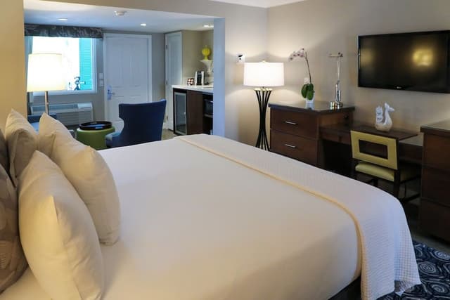 Suite, 1 King Bed with Sofa bed