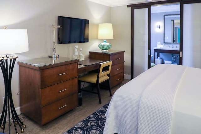 Junior Spa King Suite