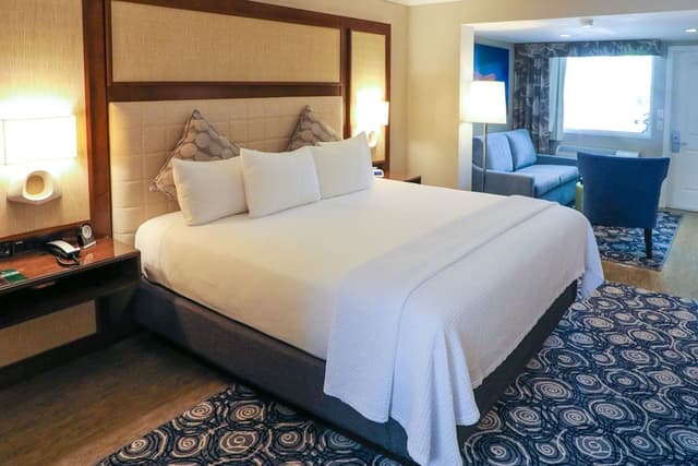 Suite, 1 King Bed with Sofa bed