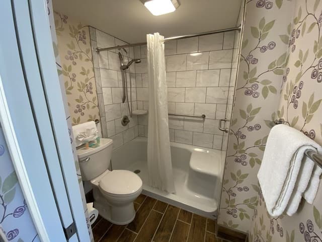 Premium Double Room, 1 King Bed, Accessible, Ground Floor