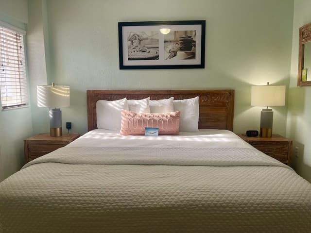 Room, 1 King Bed