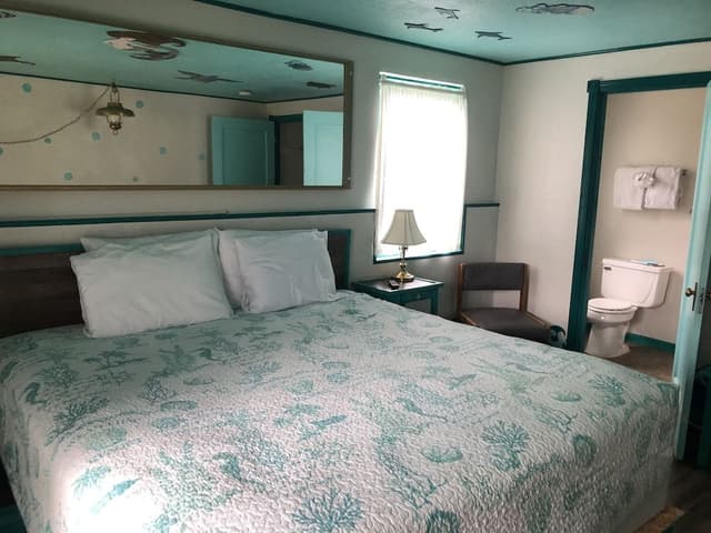 Design Single Room, 1 King Bed