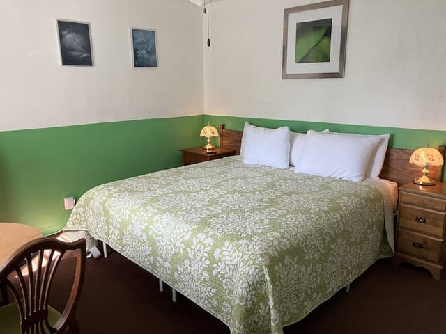 Standard Single Room, 1 King Bed
