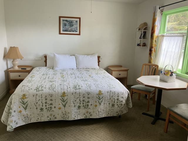 Standard Single Room, 1 King Bed