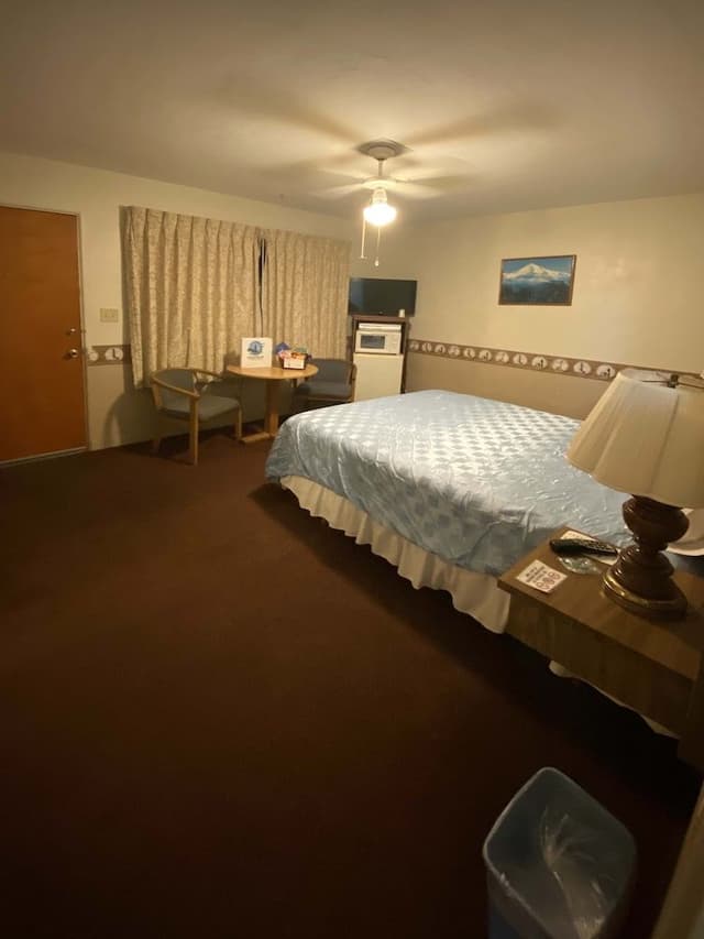 Standard Single Room, 1 Queen Bed