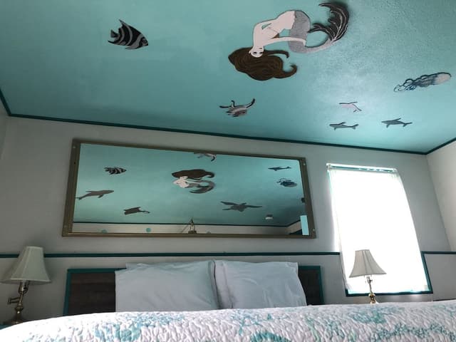 Design Single Room, 1 King Bed