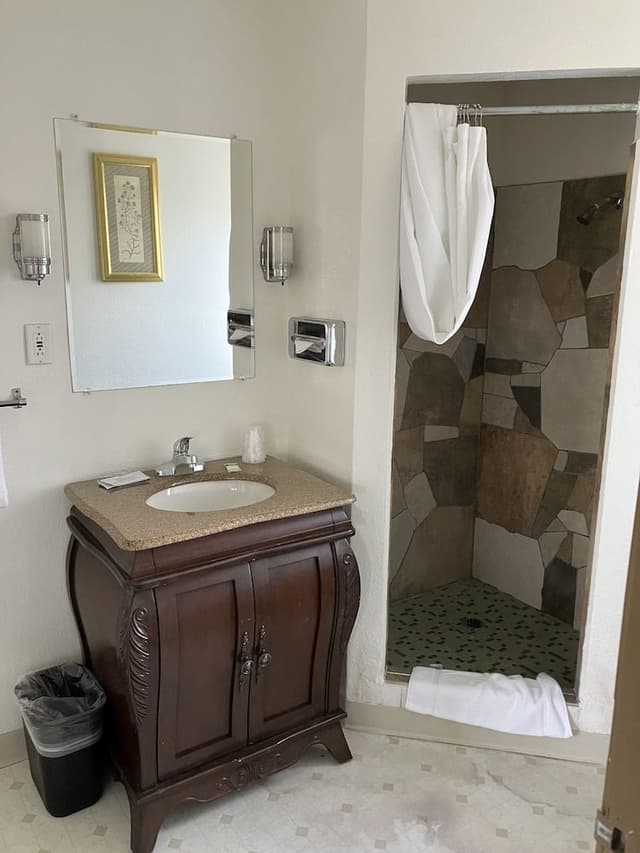 Standard Single Room, 1 King Bed