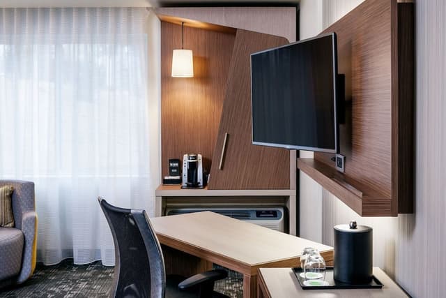 Room, 1 King Bed with Sofa bed