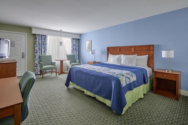 Premium Room, 1 King Bed