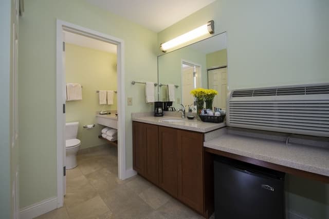 Premium Room, 1 King Bed