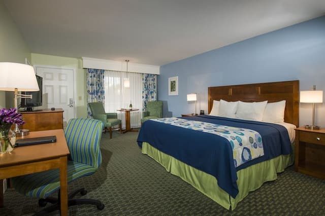 Premium Room, 1 King Bed