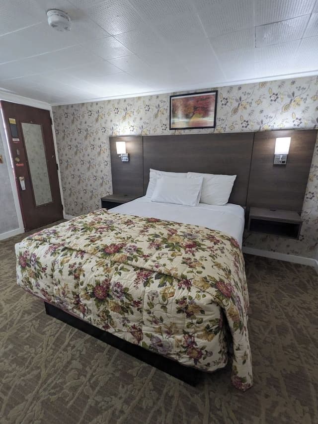 Standard Room, 1 Queen Bed, Non Smoking