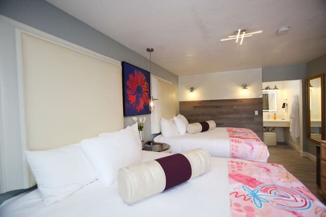 Deluxe (Non-Pet) Double Queen Room