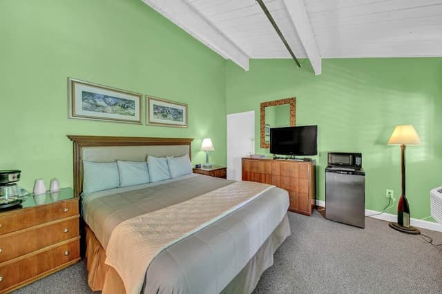 Standard Single Room, 1 King Bed, City View