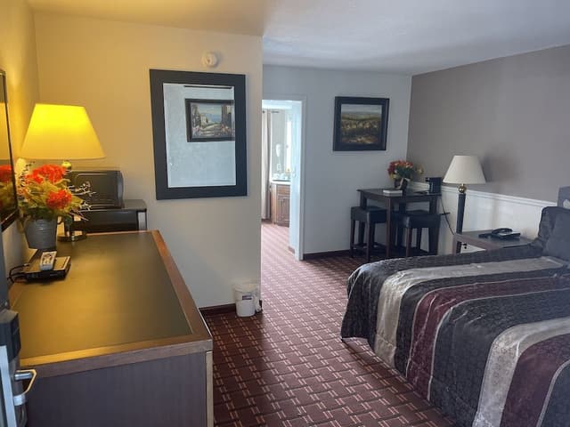 Luxury Studio Suite