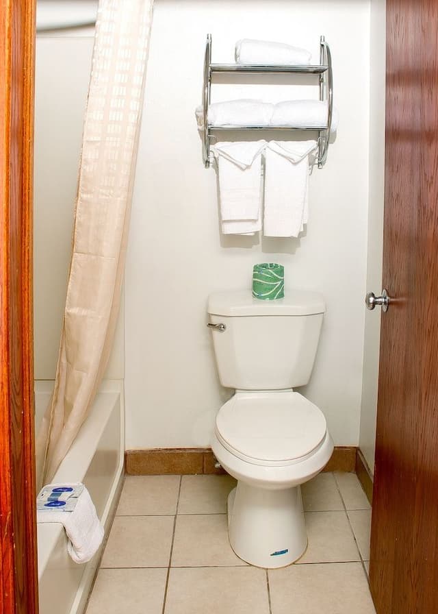 Basic Single Room, 1 King Bed, Non Smoking