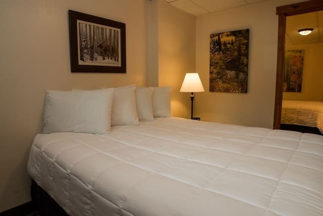 Basic Apartment, 2 Bedrooms, Pet Friendly