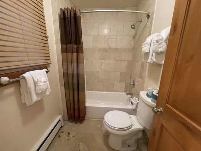 Double Room 1 Queen and 1 King bed (Not pet friendly)