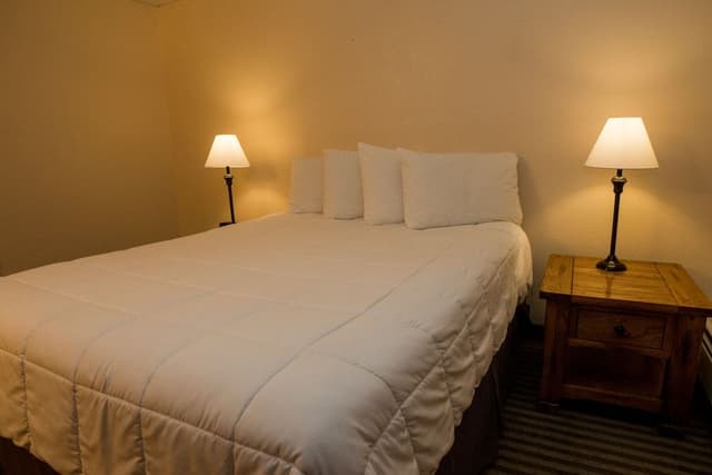 Basic Apartment, 2 Bedrooms, Pet Friendly