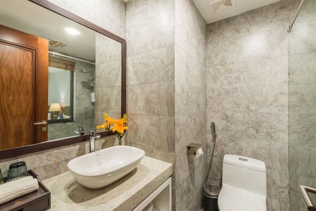 Deluxe Room, Mountain View
