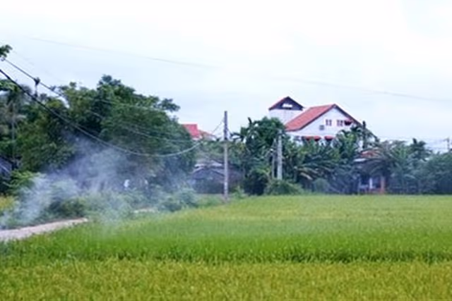 Deluxe Room, Balcony (Paddy View)