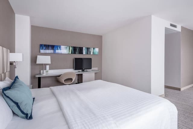 Studio, 1 King Bed