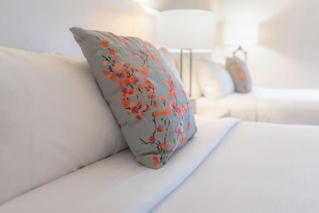 MODERN | Family Two Bedroom Suite 1BTH