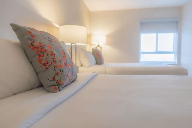 MODERN | Family Two Bedroom Suite 1BTH