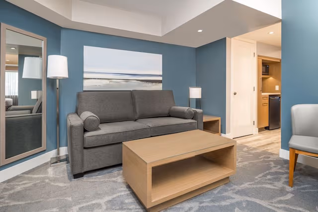 Suite, 1 King Bed with Sofa bed