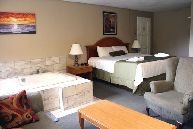 Premium Room, 1 King Bed with Sofa bed (2 person Jacuzzi)