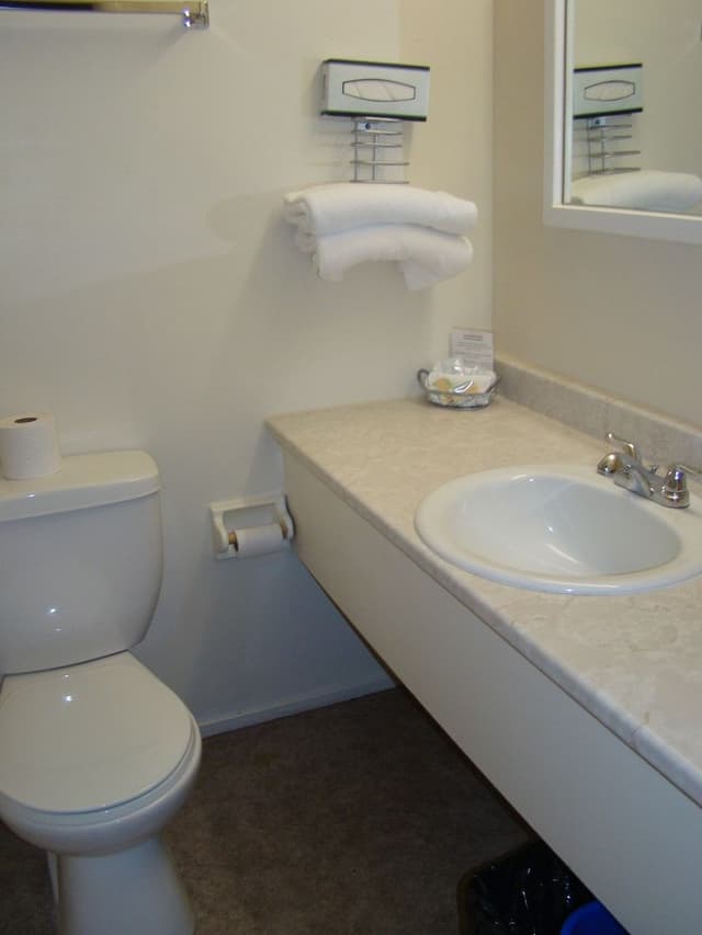 Standard Room, 1 Queen Bed