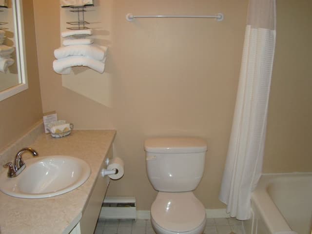 Premium Room, 1 King Bed with Sofa bed (2 person Jacuzzi)