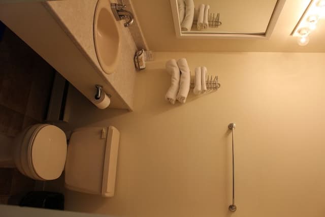 Deluxe Room, 1 King Bed (Single Jetted Tub)