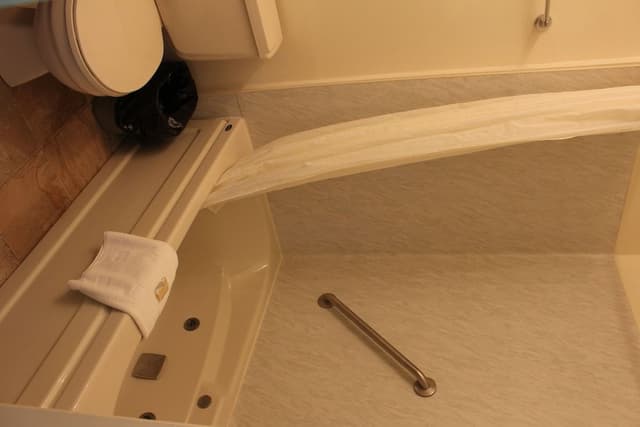 Deluxe Room, 1 King Bed (Single Jetted Tub)