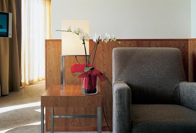 Suite with Terrace