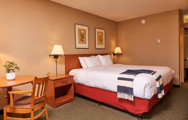 Standard Room, 1 King Bed