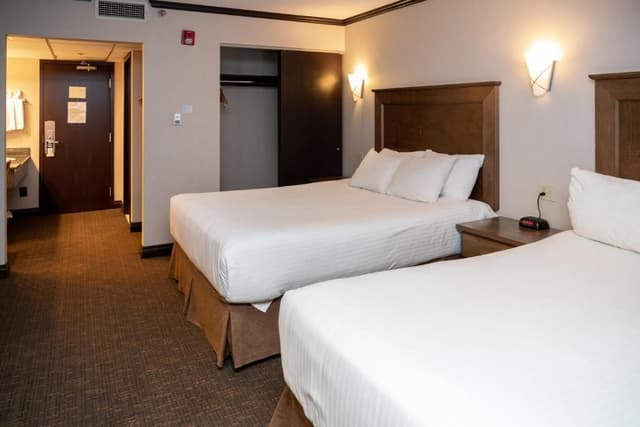 Superior Two Queen Room
