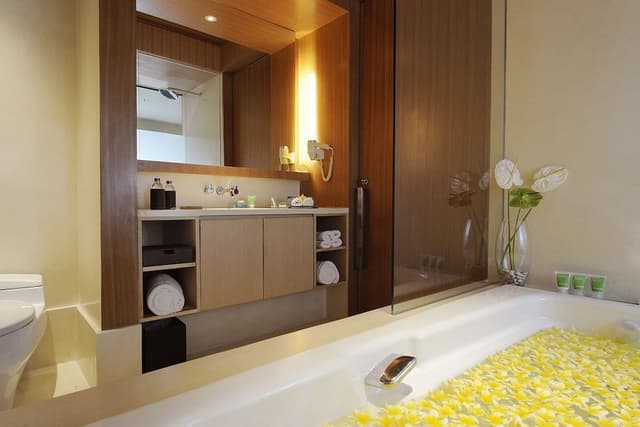 Premiere 2 Bed Room Suite Pool View with Balcony